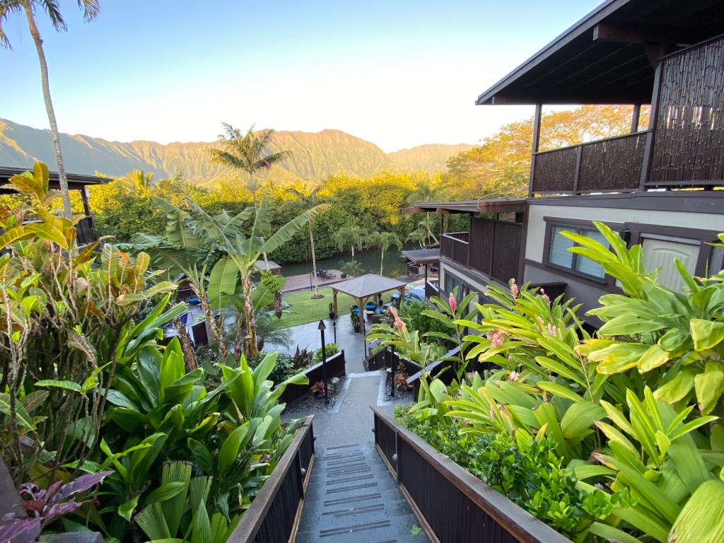 4 Reasons Why I’ll Choose Paradise Bay Resort&nbsp;Again